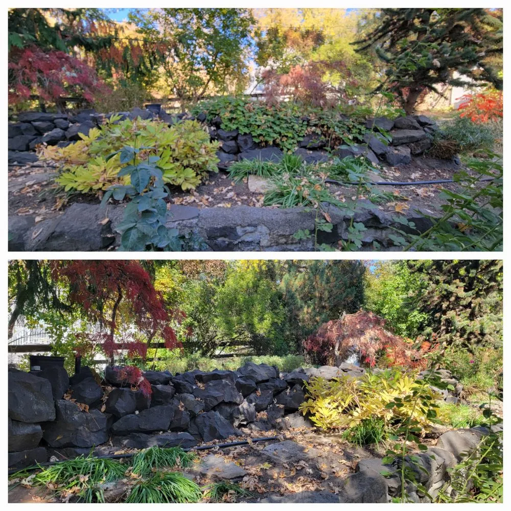 Expert yard maintenance in Albion, WA - Whip Into Shape Yard Solutions