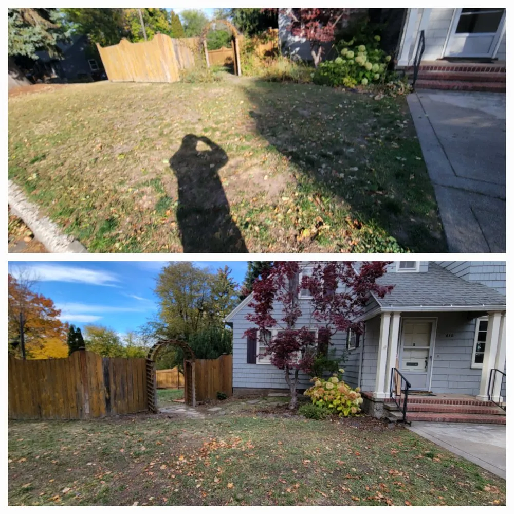 Custom lawn mowing service for beautiful yards in Albion, WA by Whip Into Shape Yard Solutions