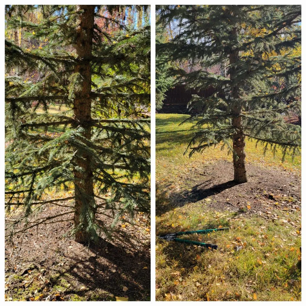 Reliable outdoor landscaping for outdoor upgrades in Albion, WA by Whip Into Shape Yard Solutions