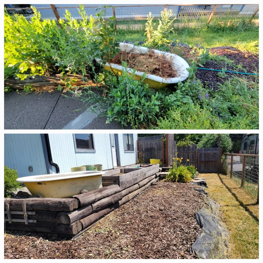 Expert landscape design in Albion, WA - Whip Into Shape Yard Solutions