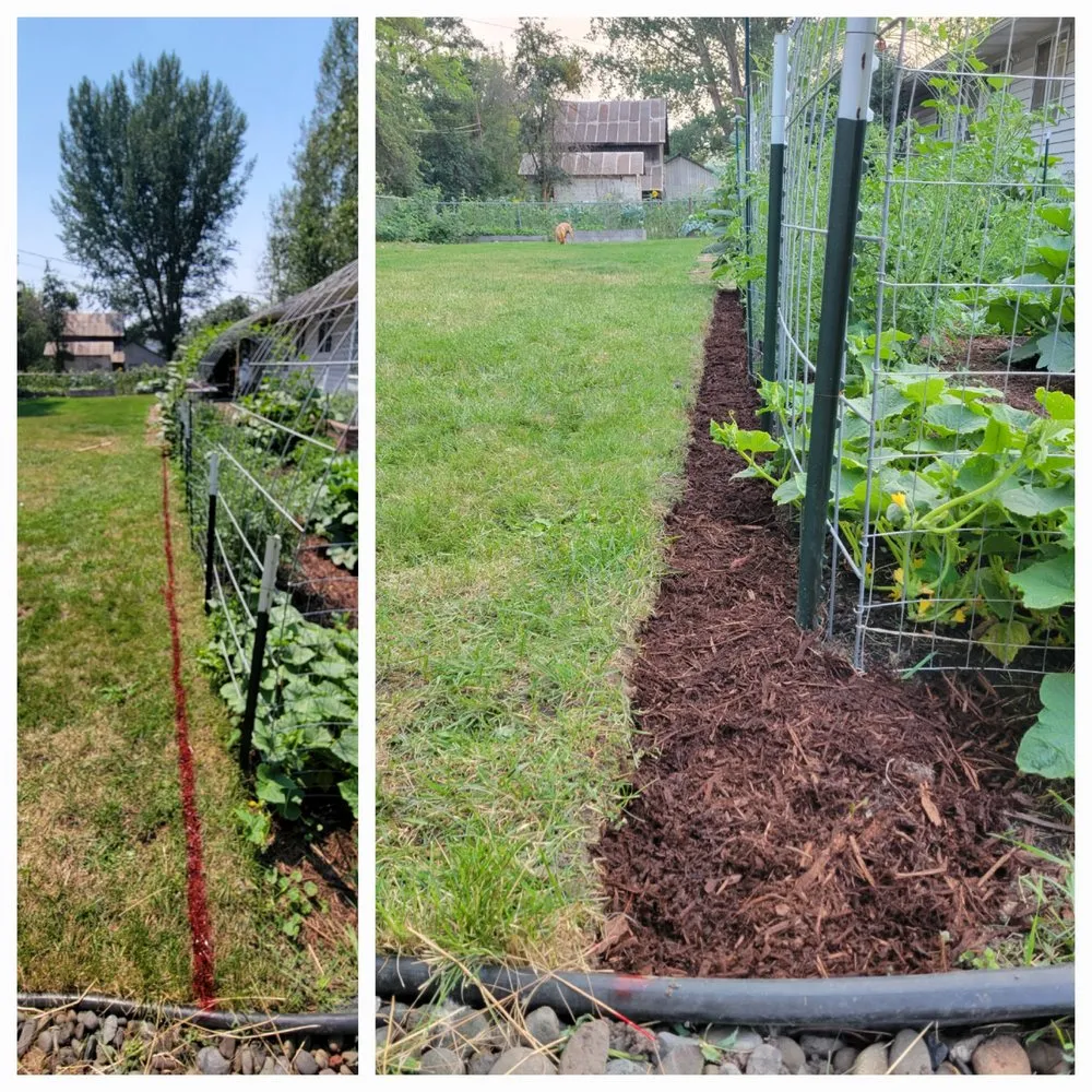 Top-rated outdoor landscaping experts serving Albion, WA - Whip Into Shape Yard Solutions