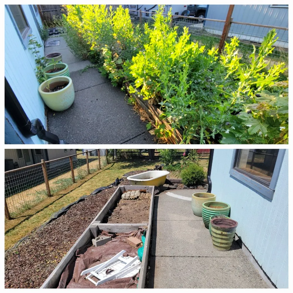 Trusted garden landscaping in Albion, WA by Whip Into Shape Yard Solutions