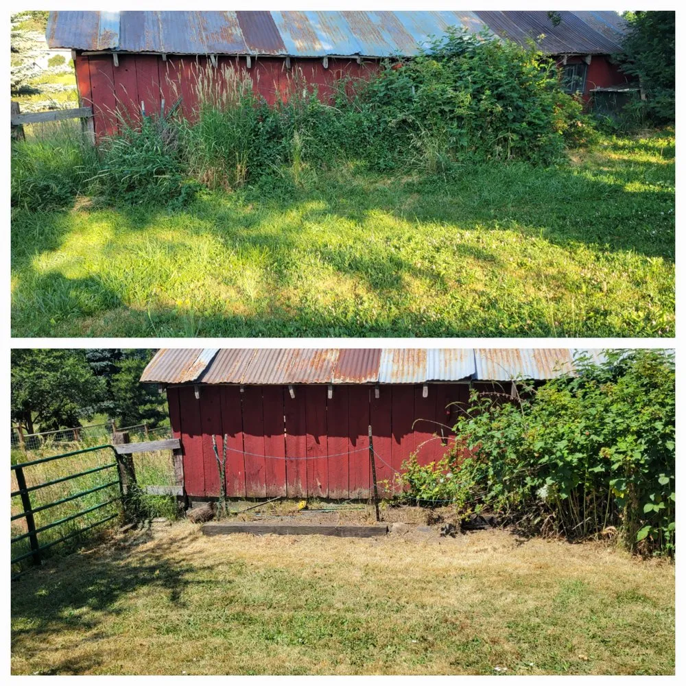 Professional landscaping services in Albion, WA - Whip Into Shape Yard Solutions