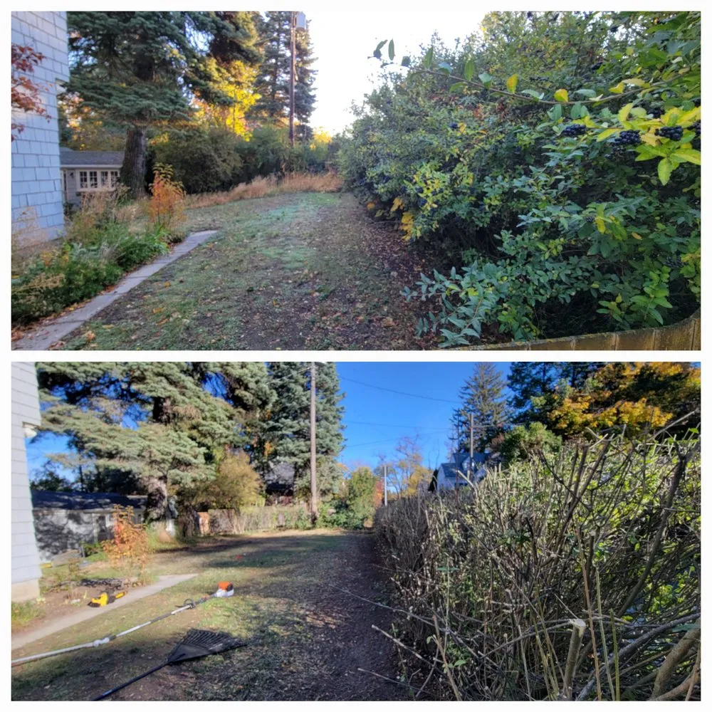 Trusted yard cleanup service experts serving Albion, WA - Whip Into Shape Yard Solutions