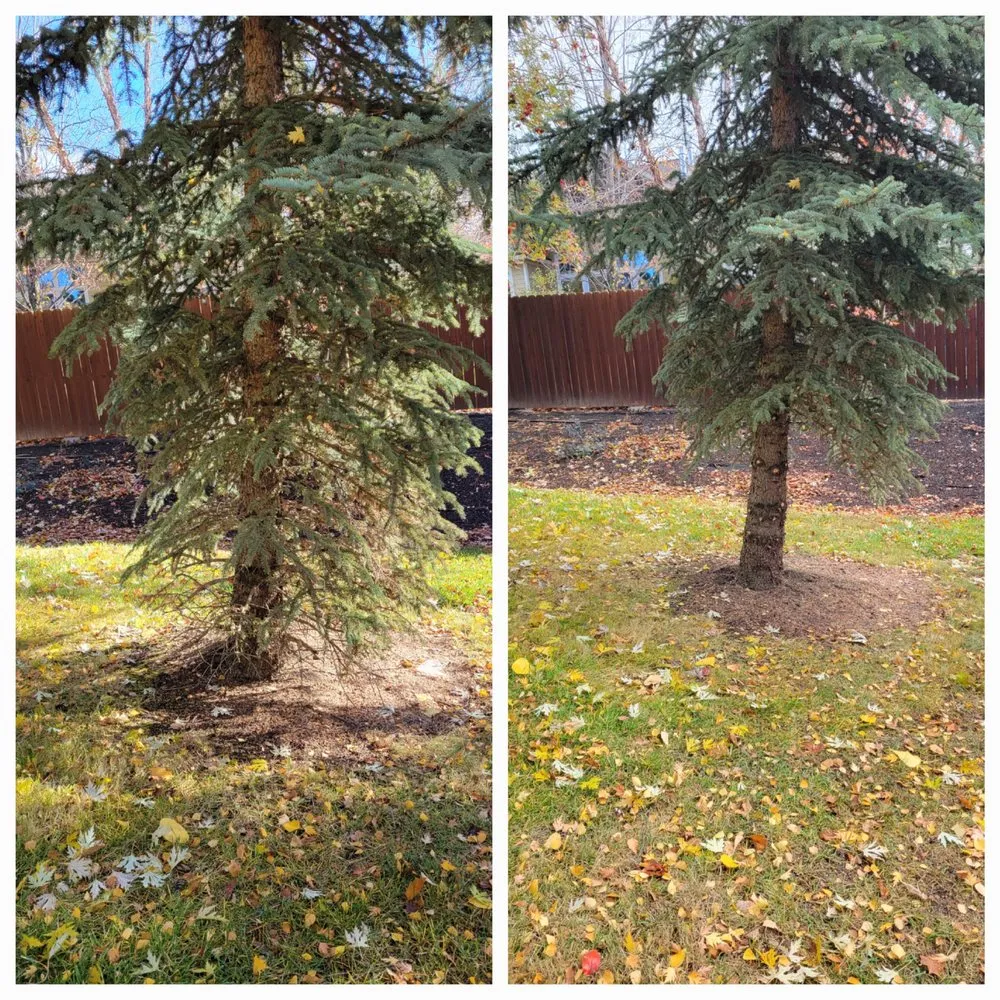 Affordable residential landscaping near you across Albion, WA - Whip Into Shape Yard Solutions