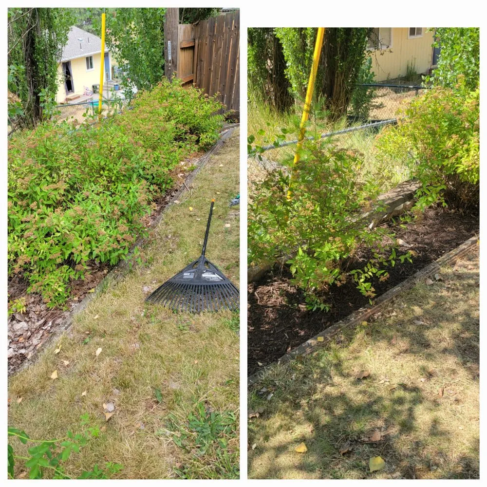 Professional landscaping services in Albion, WA - Whip Into Shape Yard Solutions