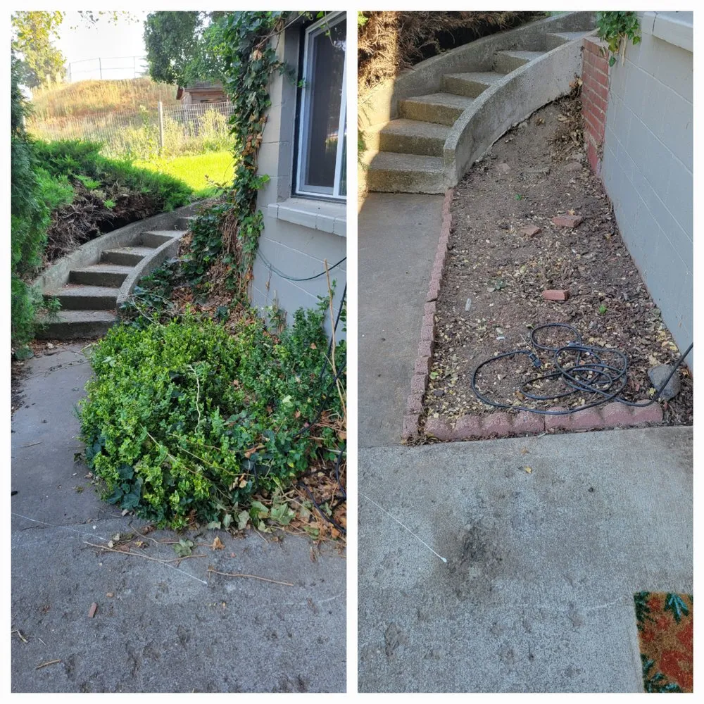 Trusted residential landscaping experts serving Albion, WA - Whip Into Shape Yard Solutions