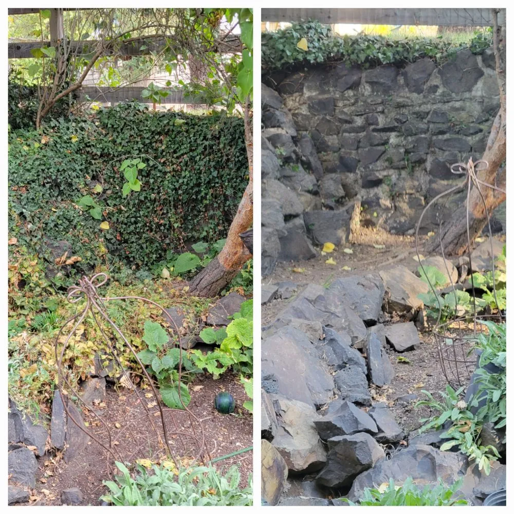 Expert lawn care service in Albion, WA - Whip Into Shape Yard Solutions