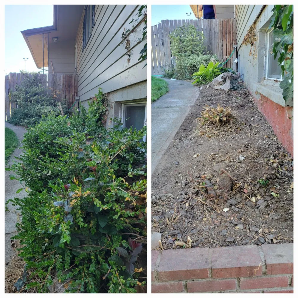 Professional landscaping services for outdoor upgrades in Albion, WA by Whip Into Shape Yard Solutions