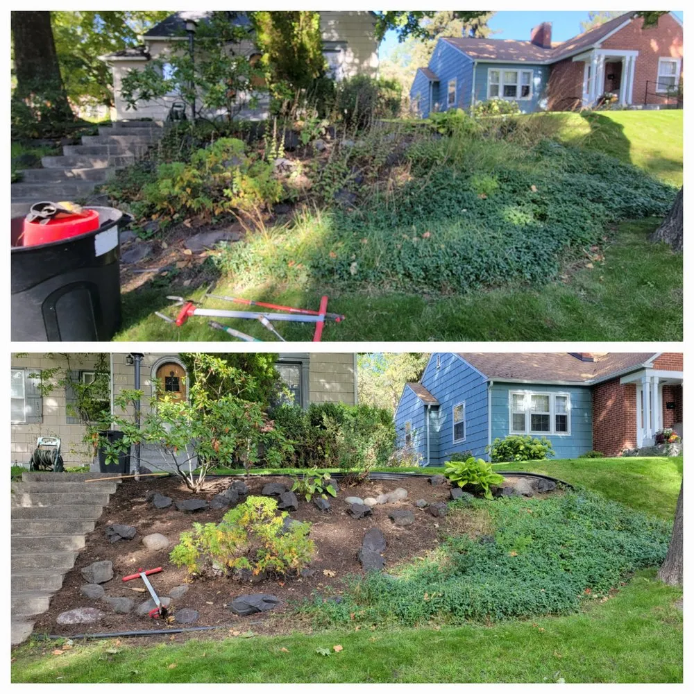 Affordable landscape design in Albion, WA - Whip Into Shape Yard Solutions