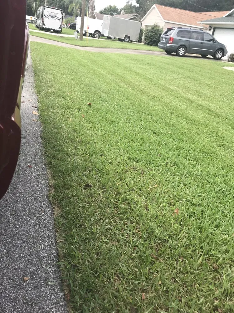 Professional garden landscaping for year-round maintenance in Ocala, FL by Whip It Clean