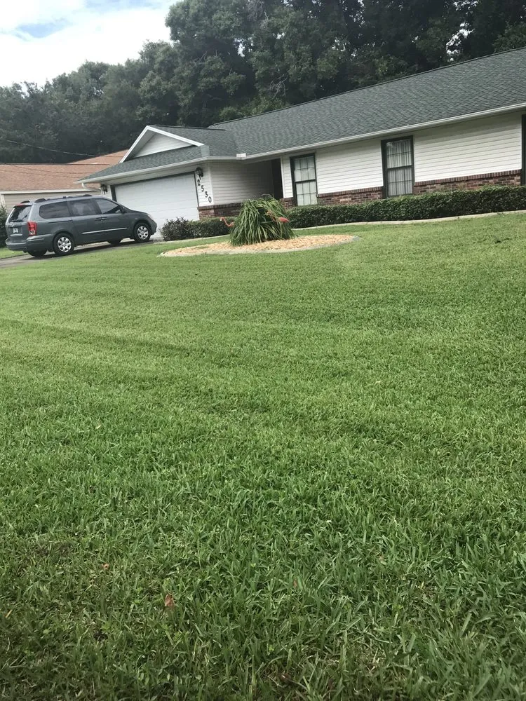 Affordable lawn care service experts serving Ocala, FL - Whip It Clean