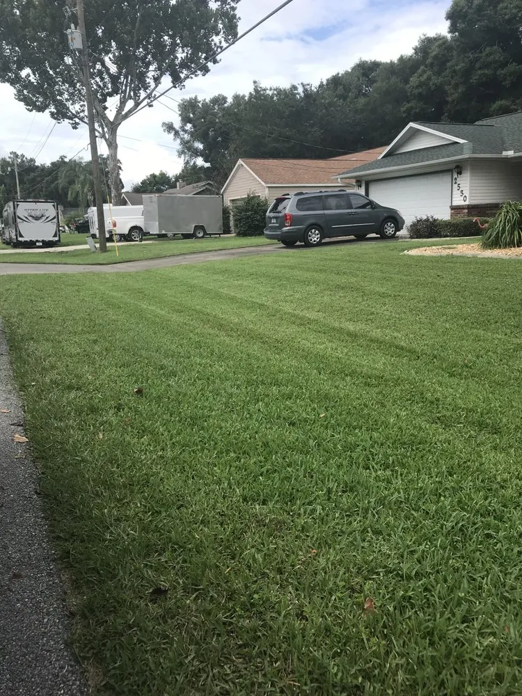 Custom yard maintenance for residential properties in Ocala, FL by Whip It Clean