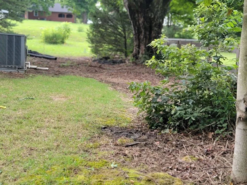 Affordable garden landscaping in Kodak, TN by Whip n Clip