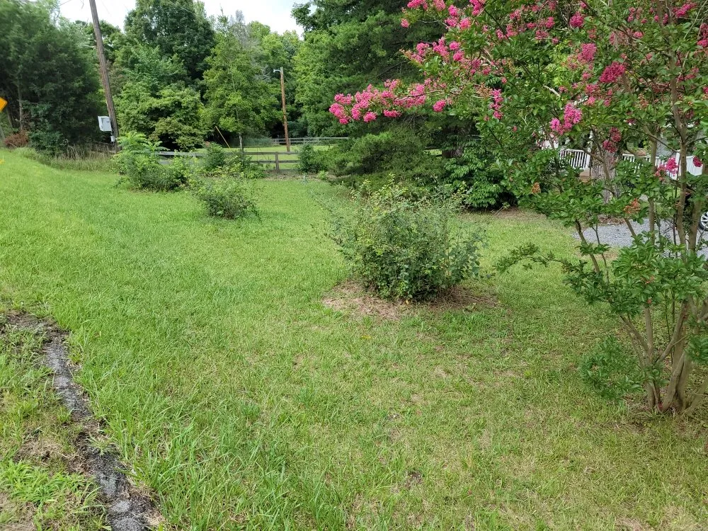 Custom yard cleanup service in Kodak, TN - Whip n Clip