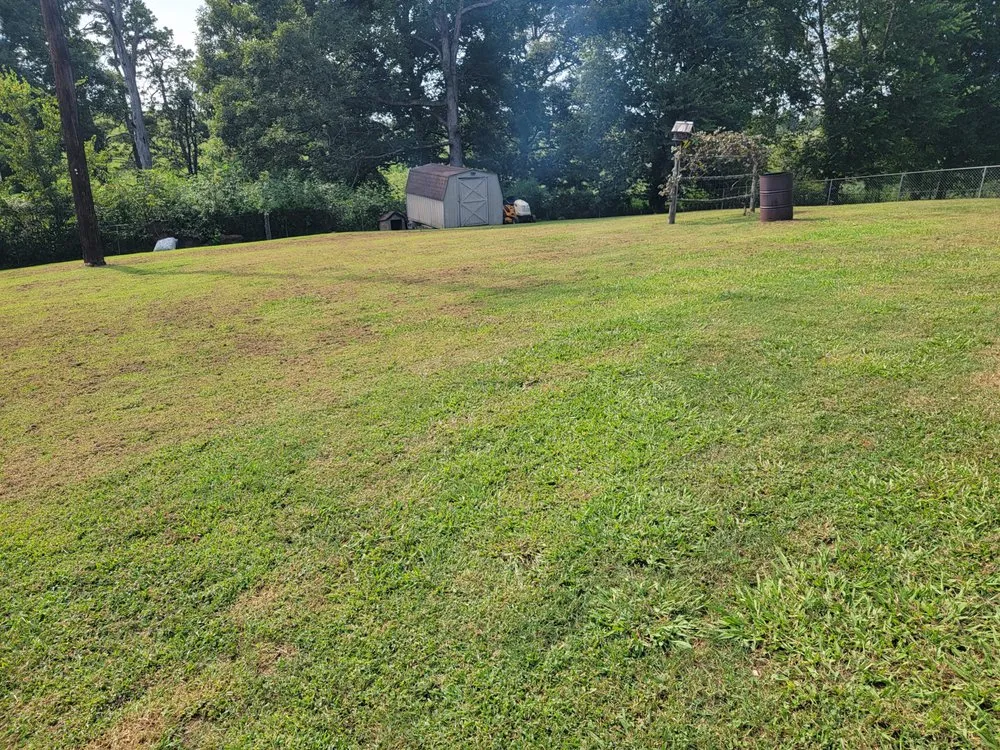 Custom landscape installation in Kodak, TN - Whip n Clip