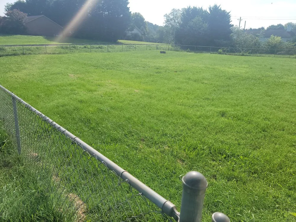 Reliable landscape design in Kodak, TN - Whip n Clip