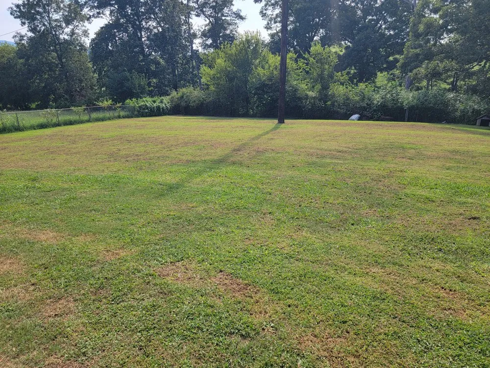 Custom landscaping services experts serving Kodak, TN - Whip n Clip