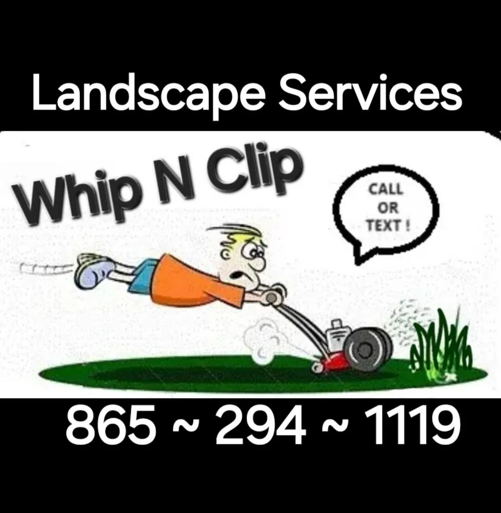 Custom yard cleanup service experts serving Kodak, TN - Whip n Clip