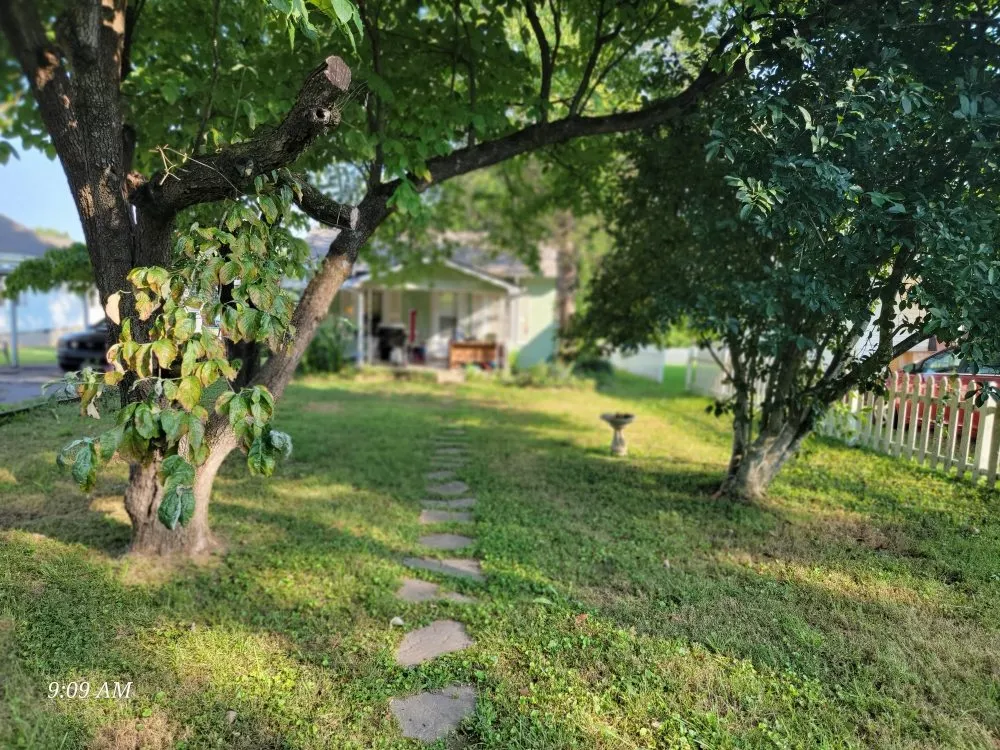 Top-rated outdoor landscaping in Kodak, TN by Whip n Clip