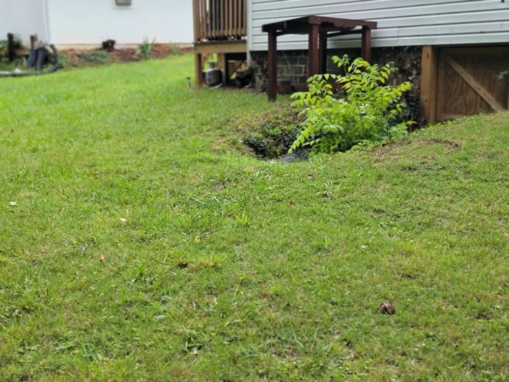 Local lawn mowing service for year-round maintenance across Kodak, TN - Whip n Clip