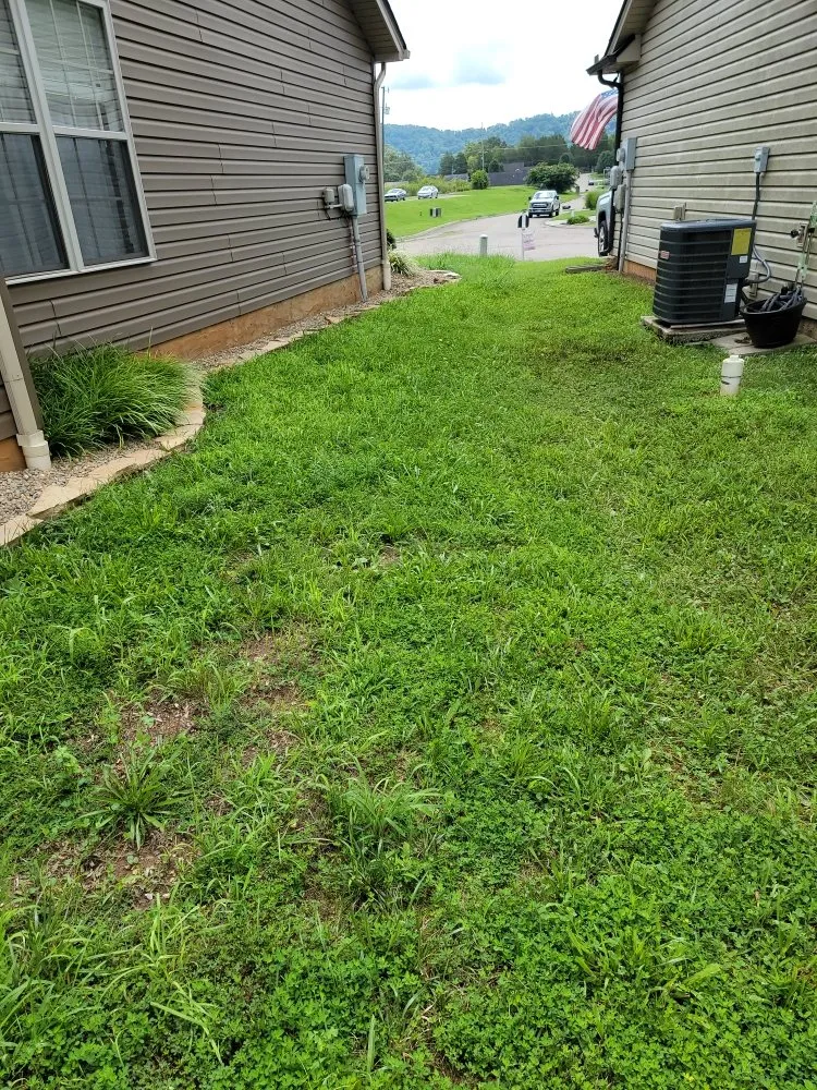 Trusted landscape design experts serving Kodak, TN - Whip n Clip
