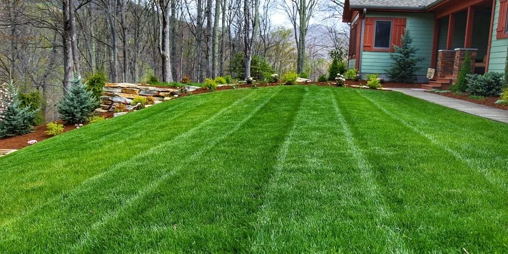 Top-rated lawn care service in Gilbert, SC - Whip’N Grass