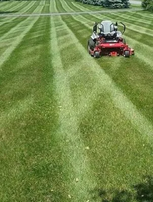 Whip’N Grass Logo