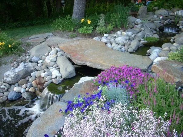 Professional landscaping services for beautiful yards in Amherst, MA by Whirlwind Fine Garden Design