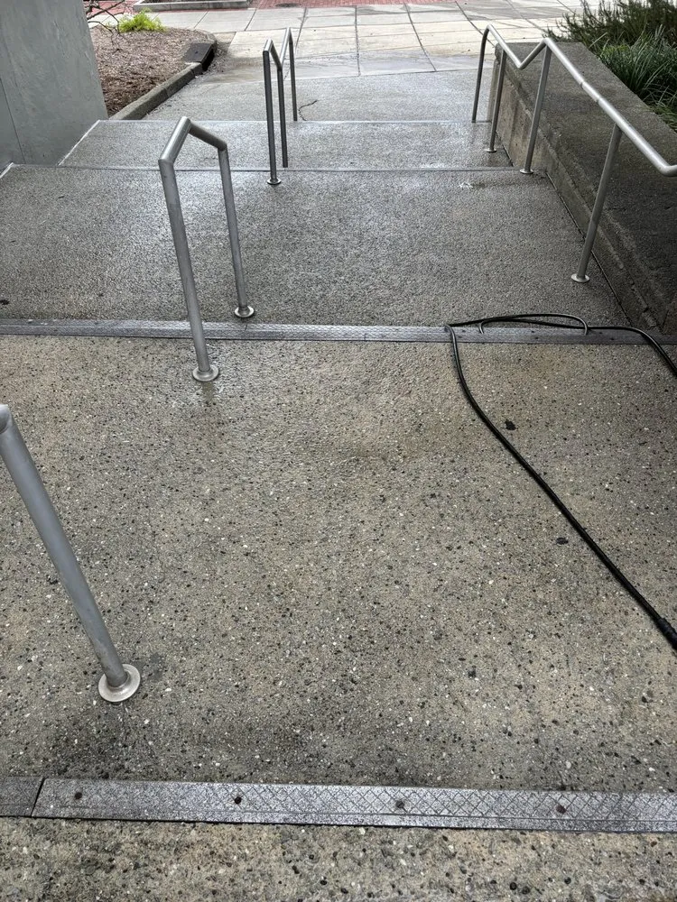 Expert outdoor landscaping experts serving Wilmington, NC - Whiskey Creek Fence & Maintenance