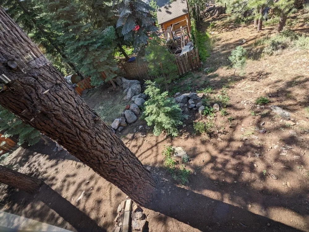 Professional garden landscaping in Truckee, CA by Whiskey Creek Land Managment