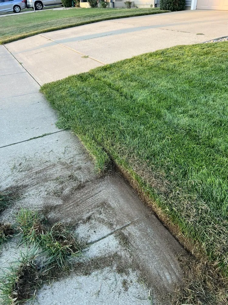 Affordable yard cleanup service in Mishawaka, IN by Whisman Lawn and Landscape