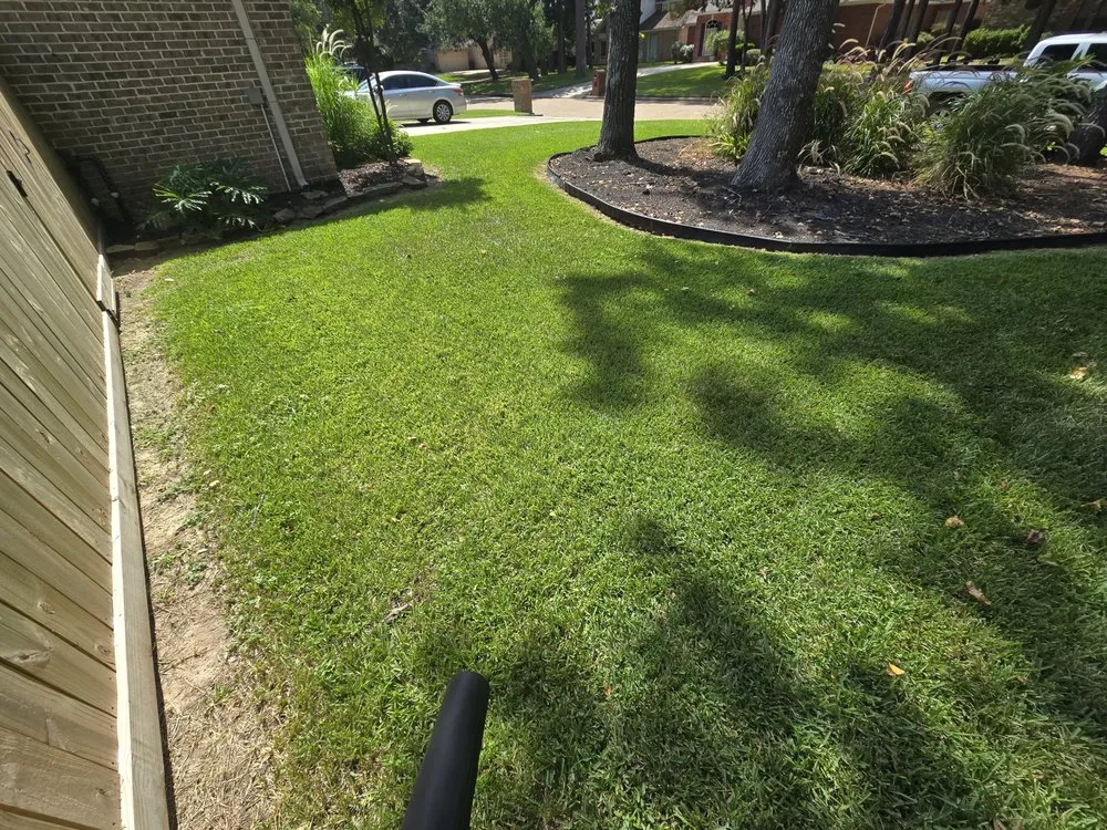 Professional residential landscaping in Montgomery, TX - Whisper Lawn