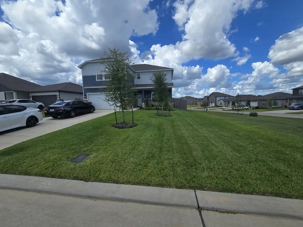 Local landscape installation in Montgomery, TX by Whisper Lawn