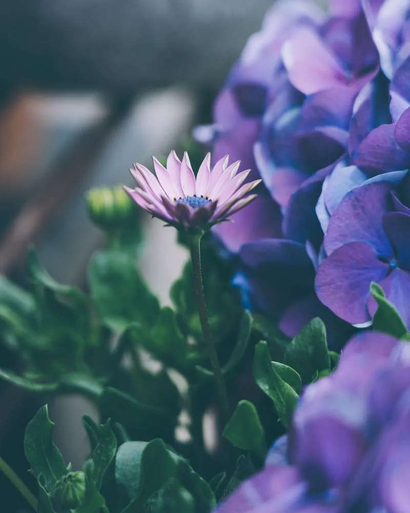 Affordable garden landscaping with custom design in Crystal Lake, IL by Whispering Hills Garden & Landscape Center