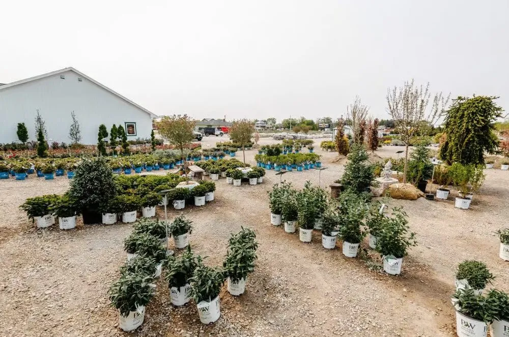 Professional landscape design with custom design in Crystal Lake, IL by Whispering Hills Garden & Landscape Center