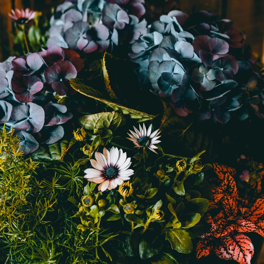 Custom lawn care service experts serving Crystal Lake, IL - Whispering Hills Garden & Landscape Center