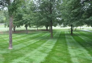 Professional landscape design with custom design across Lenexa, KS - Whispering Hills Lawn Service