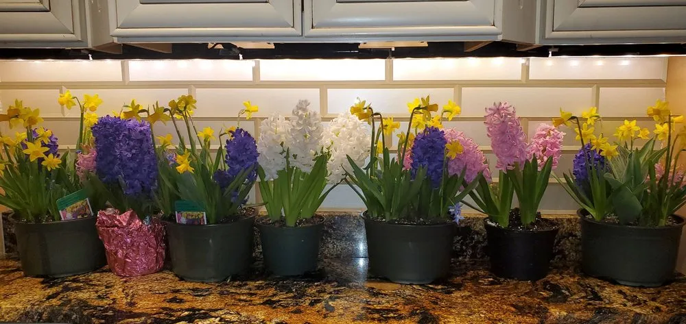 Expert lawn care service with custom design in Stroudsburg, PA by Whispering Ridge Farm & Greenhouse