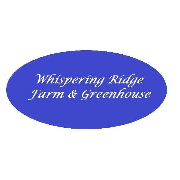 Custom landscaping services for outdoor upgrades in Stroudsburg, PA by Whispering Ridge Farm & Greenhouse