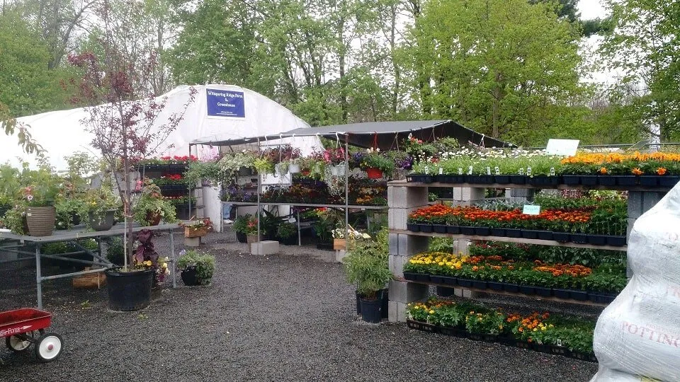 Top-rated yard maintenance for outdoor upgrades across Stroudsburg, PA - Whispering Ridge Farm & Greenhouse