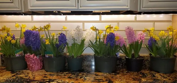 Whispering Ridge Farm & Greenhouse Logo