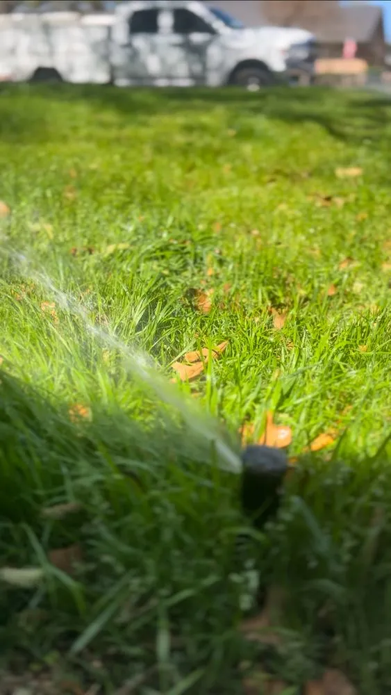 Expert yard maintenance in Southlake, TX - WhistlerWork