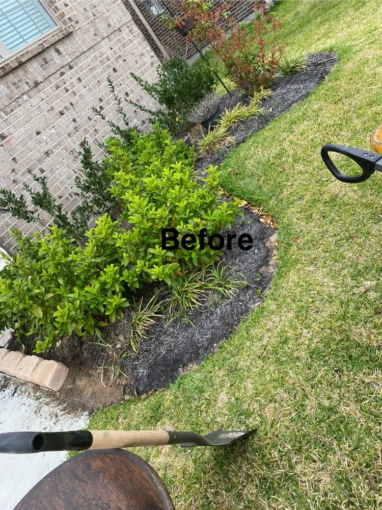 Expert landscaping services in Houston, TX - Whit love Lawn Care Service