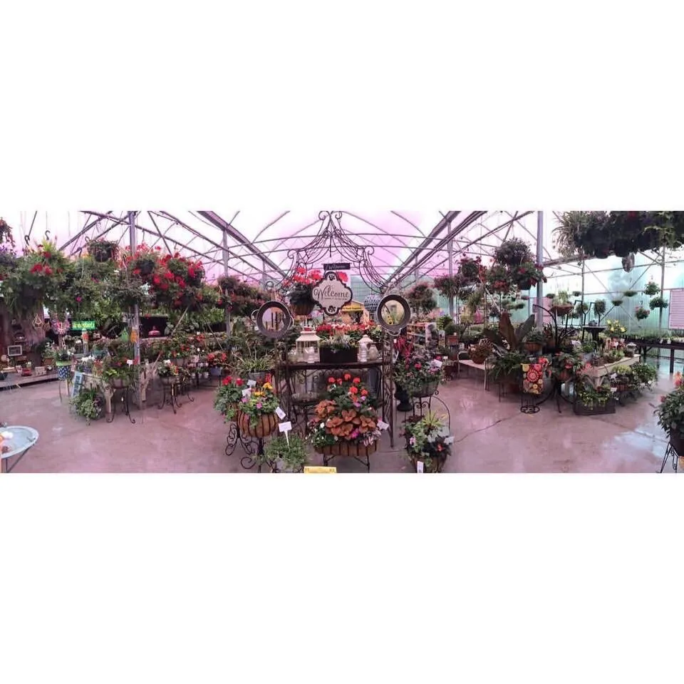 Professional yard maintenance for homes across Franklinville, NC - Whitaker Farms