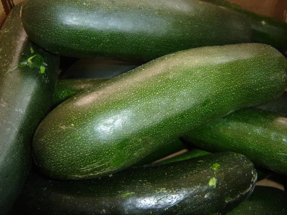 Local yard cleanup service for beautiful yards in Franklinville, NC by Whitaker Farms