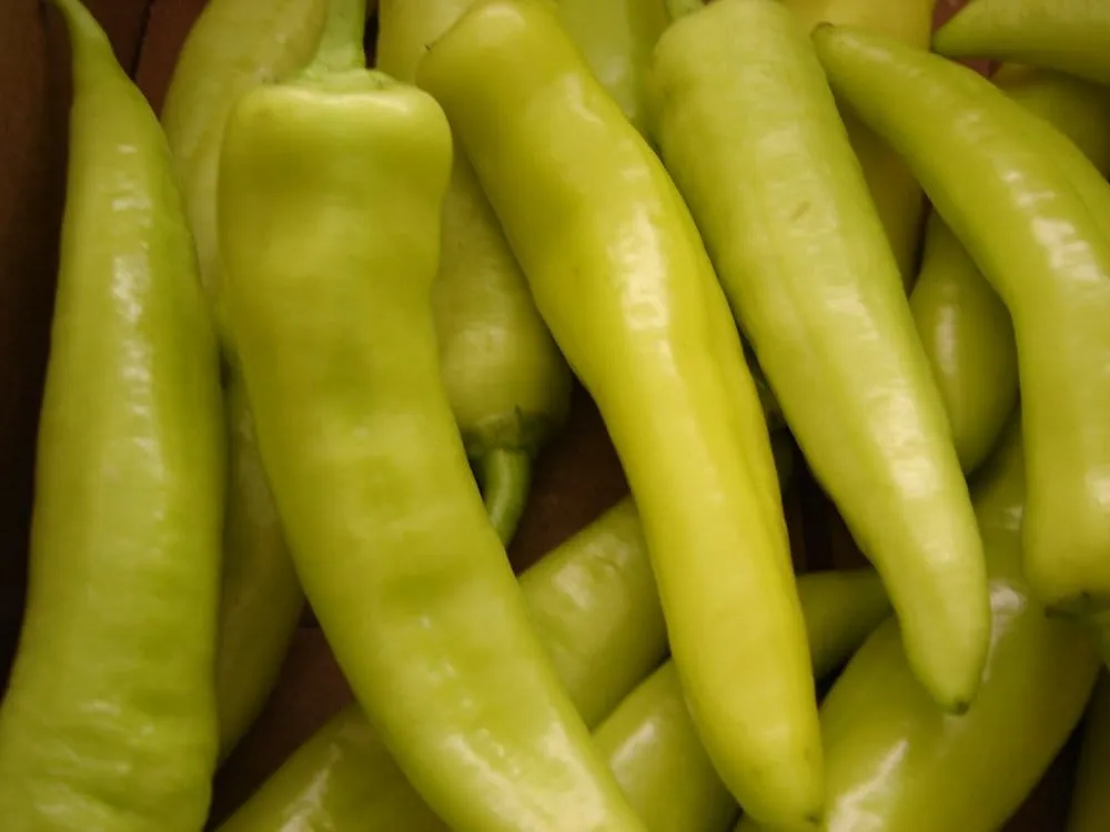 Trusted outdoor landscaping for outdoor upgrades in Franklinville, NC by Whitaker Farms