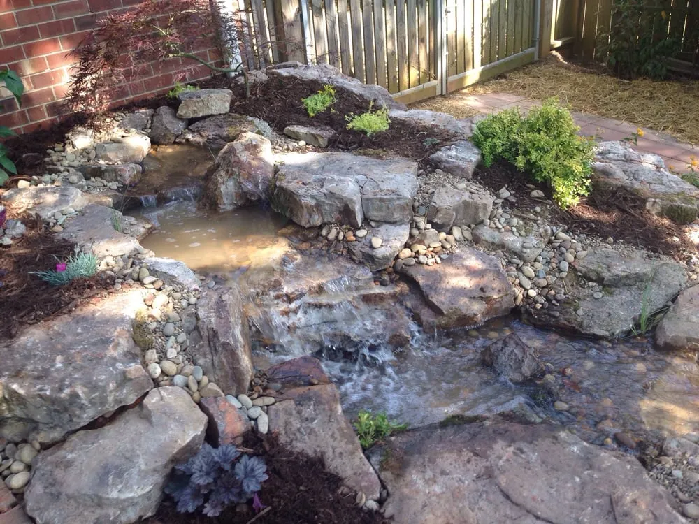 Affordable yard cleanup service in Franklinville, NC by Whitaker Farms