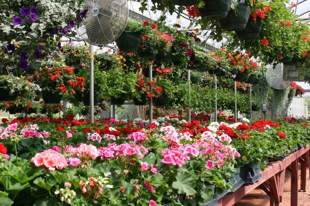 Top-rated garden landscaping in Franklinville, NC by Whitaker Farms