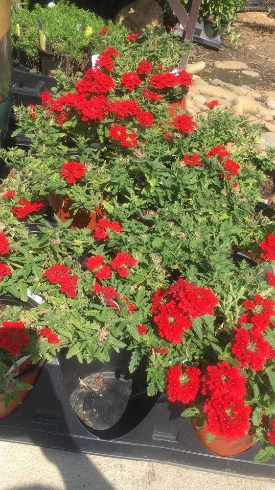 Local garden landscaping experts serving Franklinville, NC - Whitaker Farms